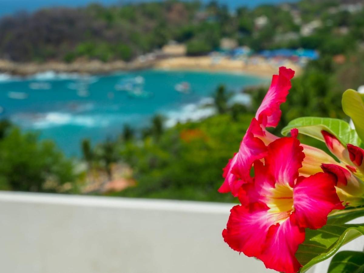 Casa Cascada - Adults Only Ξενοδοχείο Puerto Escondido  Εξωτερικό φωτογραφία