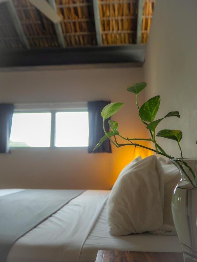 Casa Cascada - Adults Only Ξενοδοχείο Puerto Escondido  Εξωτερικό φωτογραφία